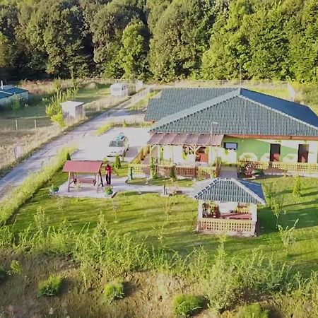 Agropensiunea Valea Fagilor Luncavita Luaran gambar