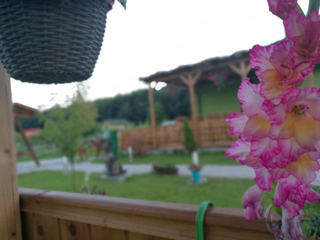 Agropensiunea Valea Fagilor Luncavita Luaran gambar