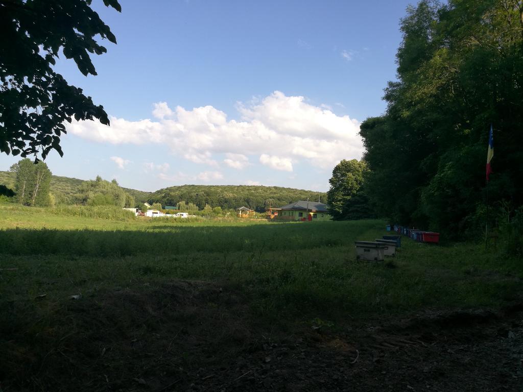 Agropensiunea Valea Fagilor Luncavita Luaran gambar