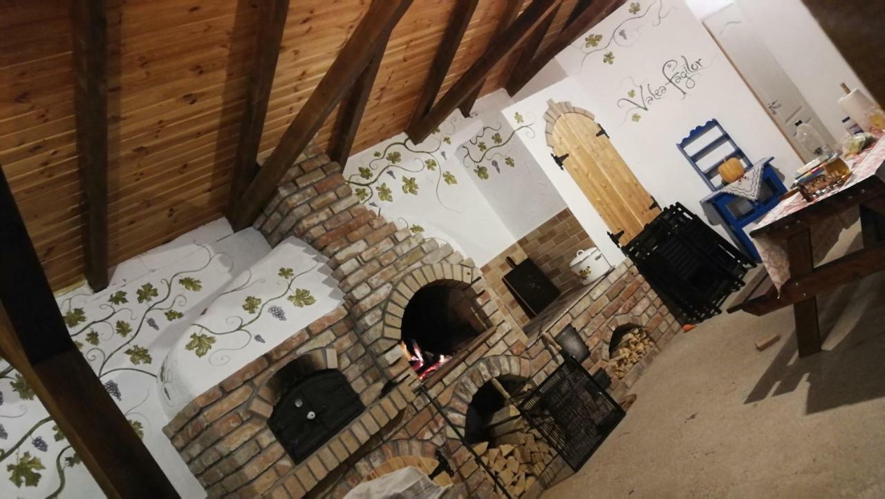 Agropensiunea Valea Fagilor Luncavita Luaran gambar