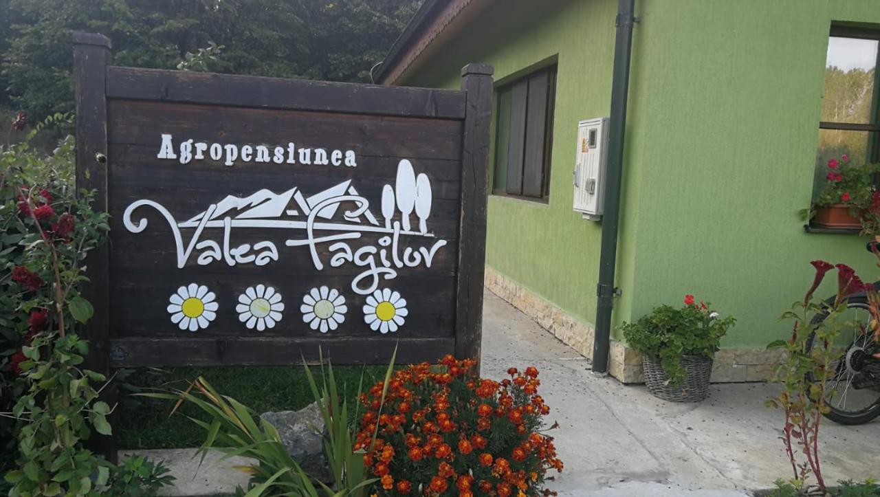 Agropensiunea Valea Fagilor Luncavita Luaran gambar